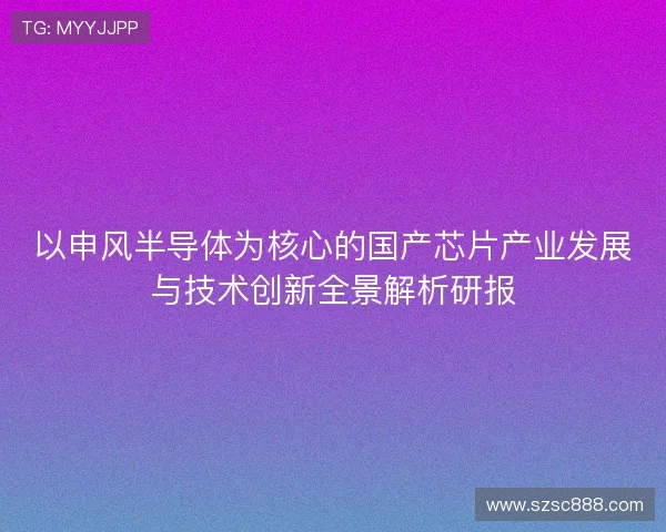 以申风半导体为核心的国产芯片产业发展与技术创新全景解析研报